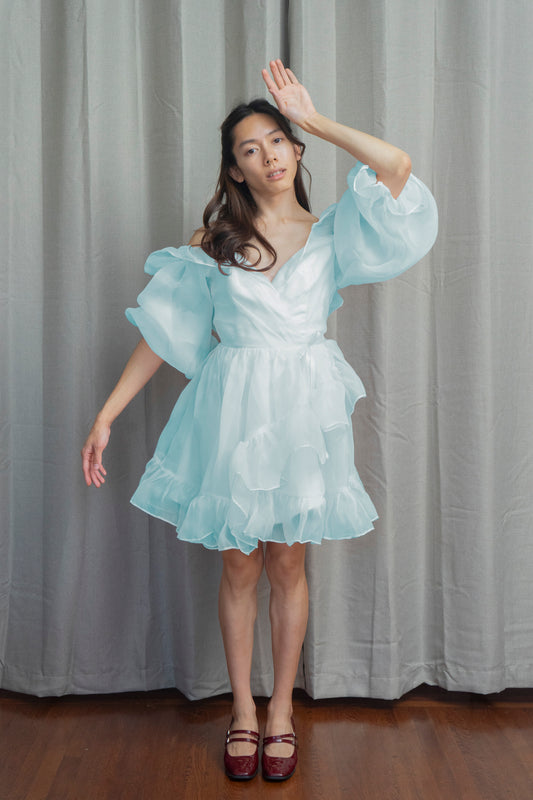 Spring Day Mini Tulle Dress