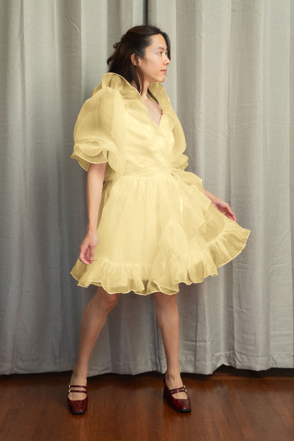 Summer Dream Mini Tulle Dress