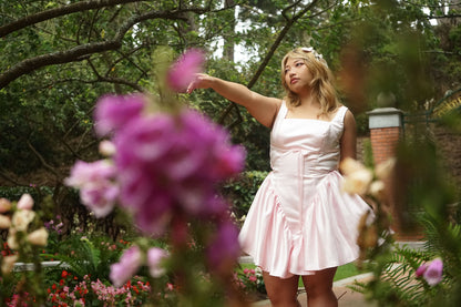 Rose Ballet Dress